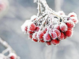 В Україні очікується похолодання: прогноз погоди 22 – 28 грудня