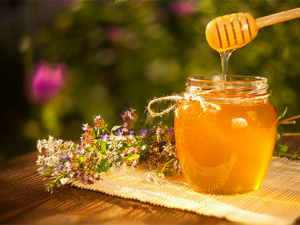 Бджолярі Донеччини прогнозують дефіцит меду: яка причина