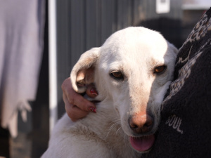 Джерело: Суспільне Донбас