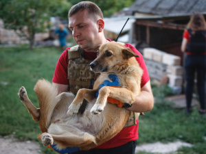 UAnimals та BlaBlaCar запускають проєкт підтримки евакуації тварин з прифронтових територій