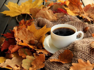 Погода в Україні 13–19 жовтня: прогноз на тиждень