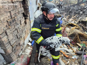 Очі сповнені страху та надії: рятувальники у Добропіллі врятували собаку з-під завалів