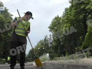 У Добропільській ТГ працевлаштовують школярів: де і як саме