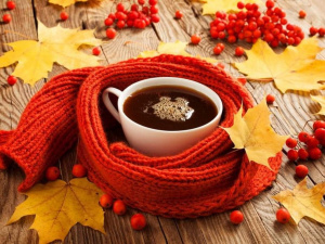 Прогноз погоди в Україні з 27 жовтня по 2 листопада: чи очікується зниження температури