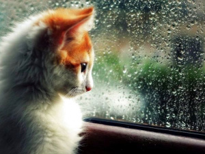 Чи дощитиме у вихідні: прогноз на 20-21 вересня