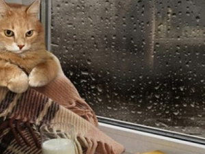 Як зігріти квартиру без світла і газу: практичні поради