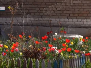 Весна у Родинському: як живе прифронтове місто