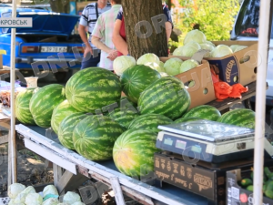 Сезон кавунів у розпалі: яка ціна головної ягоди літа у Покровську