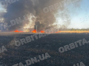 На Донеччині почастішали займання: у ДСНС розповіли про кількість пожеж за тиждень